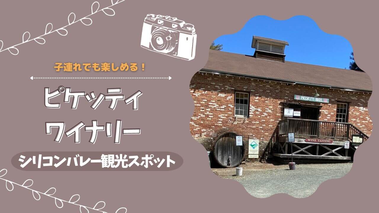【子連れでも楽しめる】ピケッティワイナリー|シリコンバレー観光スポット