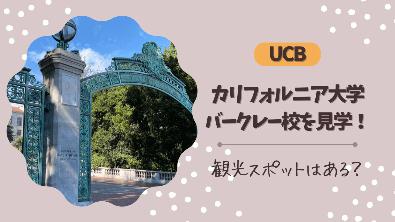 カリフォルニア大学バークレー校（UCB）を見学！観光スポットは？