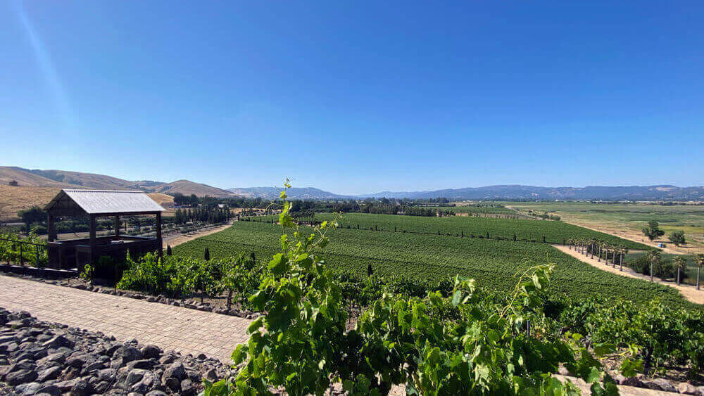 Viansa Sonoma Winery & Tasting Roomから見たナパバレーの景色